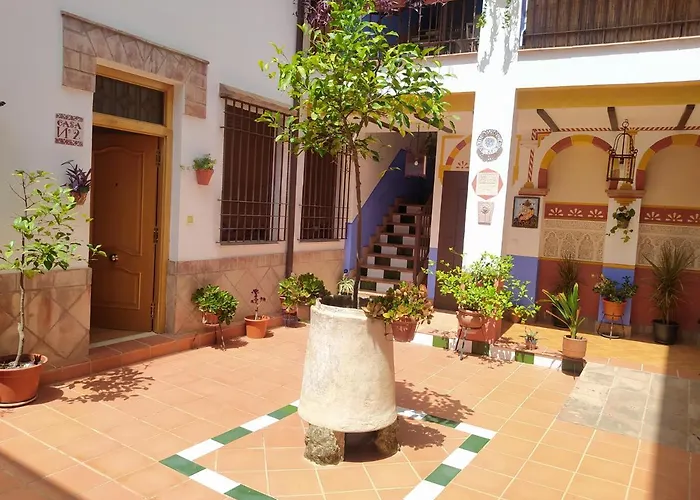 Patio De San Lorenzo Vft/co/00990